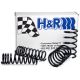 H&R Race Springs, BMW E36,  325i / 325is / 328i / 328is, not cabrio, 6/22/1992-98